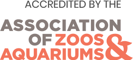 Accredited By The Association of Zoos and Aquariums