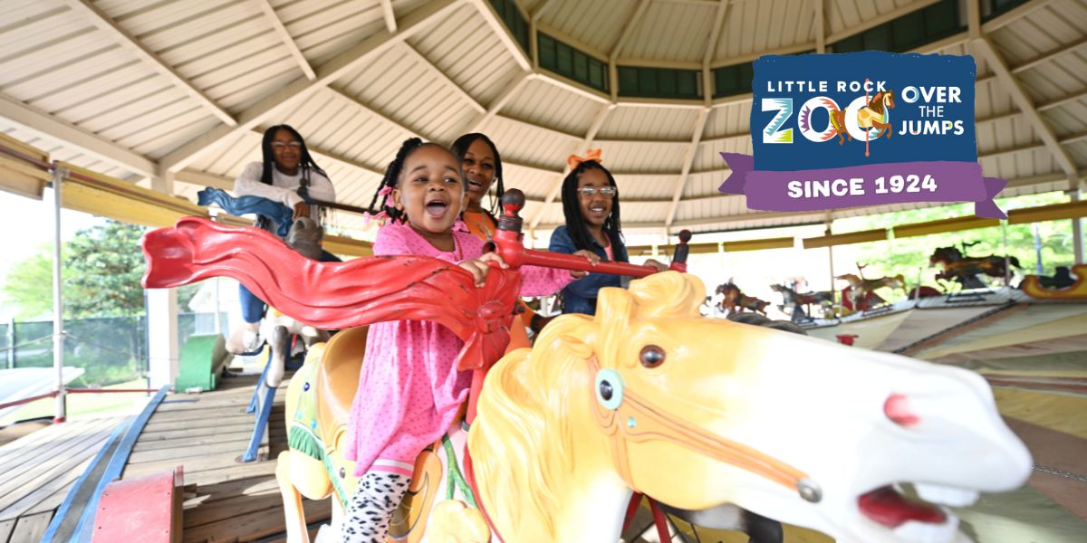 Carousel Centennial Banner