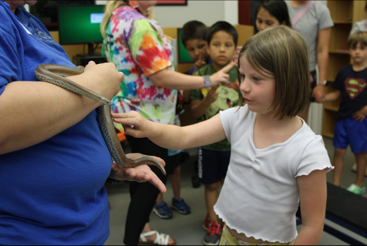 Outreach program - students