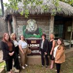 Lion Legal Sponsorship July 2025